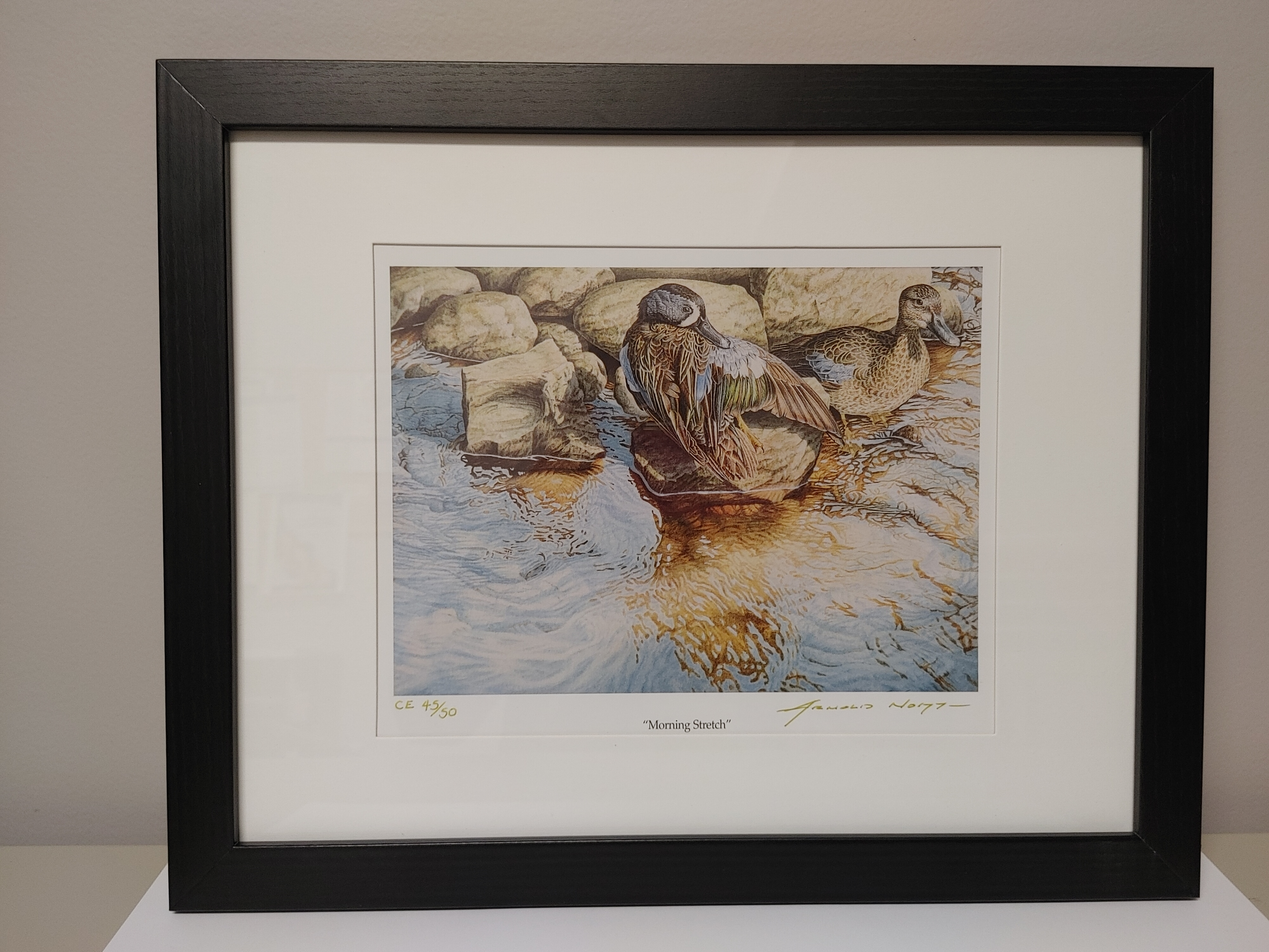 Framed art print of two ducks by shoreline