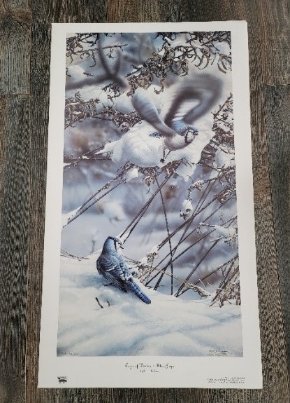 Print of two blue jays with snowy background